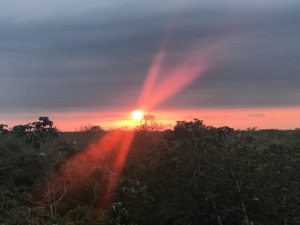 healing tulum