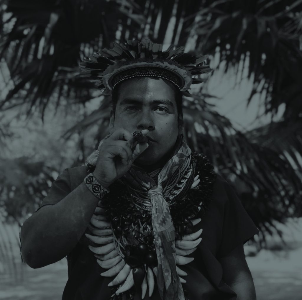 healing tulum ayahuasca yaje